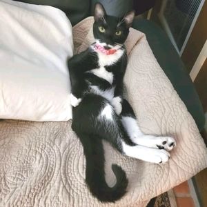 I WORK HARD SO SHE DOESNT HAVE TO!!!